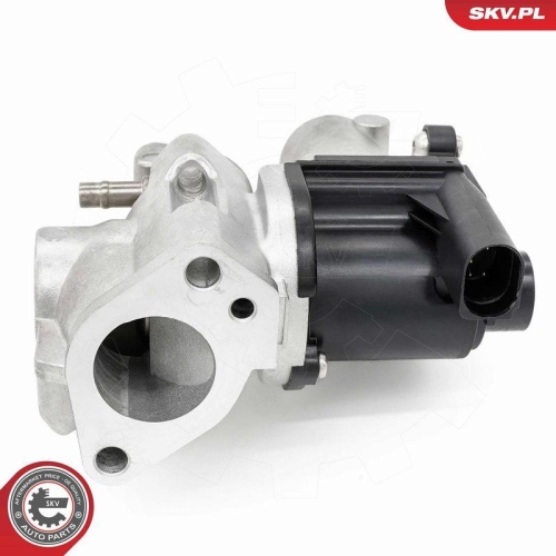 ESEN SKV AGR-Ventil 14SKV253
