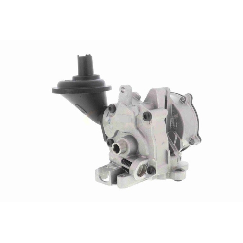 VAICO &Ouml;lpumpe Original VAICO Qualit&auml;t V10-8003