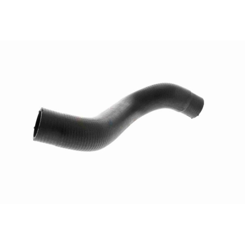 ACKOJA K&uuml;hlerschlauch Original ACKOJA Qualit&auml;t A38-1606