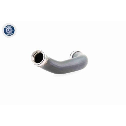 VAICO Ladeluftschlauch Q+, Erstausrüsterqualität V30-2648