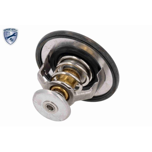 ACKOJA Thermostat, K&uuml;hlmittel EXPERT KITS + A52-99-0005