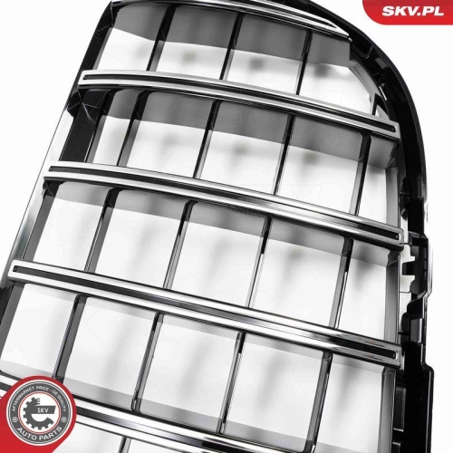 ESEN SKV Kühlergitter