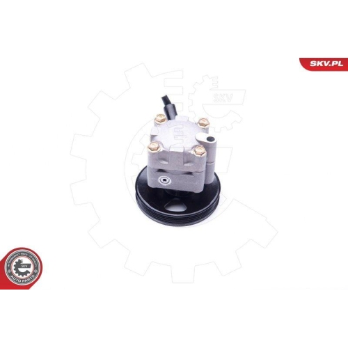 ESEN SKV Hydraulikpumpe, Lenkung 10SKV276