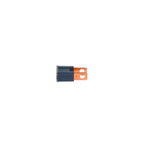 BOSCH Sicherung 1 987 529 074