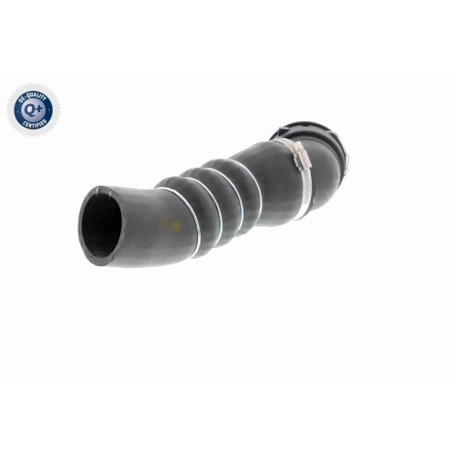 VAICO Ladeluftschlauch Q+, Erstausr&uuml;sterqualit&auml;t V20-1626