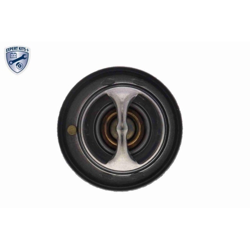 ACKOJA Thermostat, K&uuml;hlmittel EXPERT KITS + A63-99-0004
