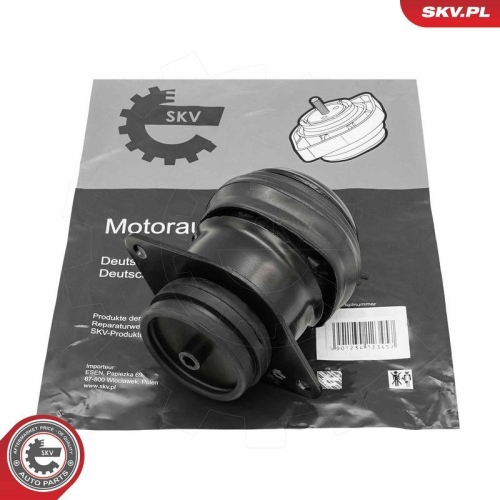 ESEN SKV Lagerung, Motor 75SKV241