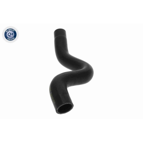 VAICO K&uuml;hlerschlauch Q+, Erstausr&uuml;sterqualit&auml;t V22-0741