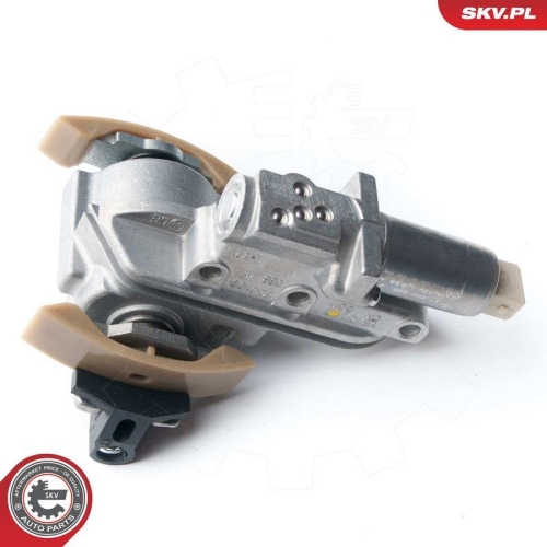 ESEN SKV Spanner, Steuerkette 21SKV031