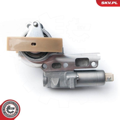ESEN SKV Spanner, Steuerkette 21SKV061