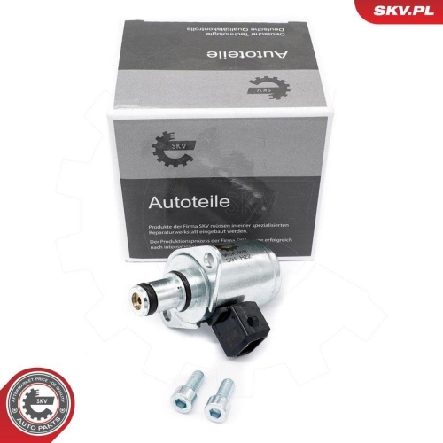 ESEN SKV Ventil, Servolenkung 96SKV920