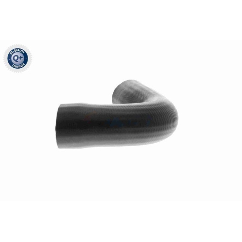 VAICO Ladeluftschlauch Q+, Erstausrüsterqualität V22-1100