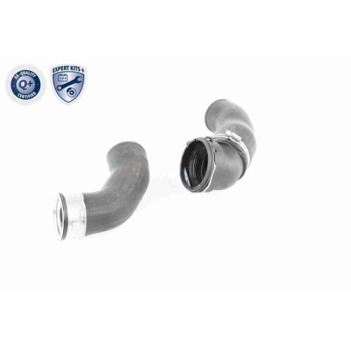 VAICO Ladeluftschlauch EXPERT KITS + V20-2970