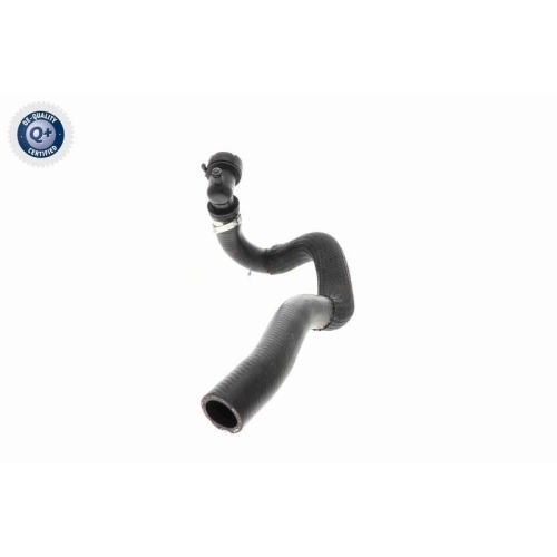 VAICO K&uuml;hlerschlauch Q+, Erstausr&uuml;sterqualit&auml;t V22-0965