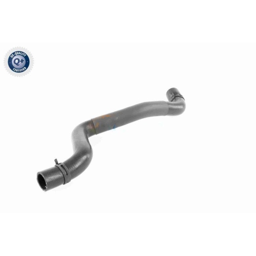 VAICO K&uuml;hlerschlauch Q+, Erstausr&uuml;sterqualit&auml;t V95-0397