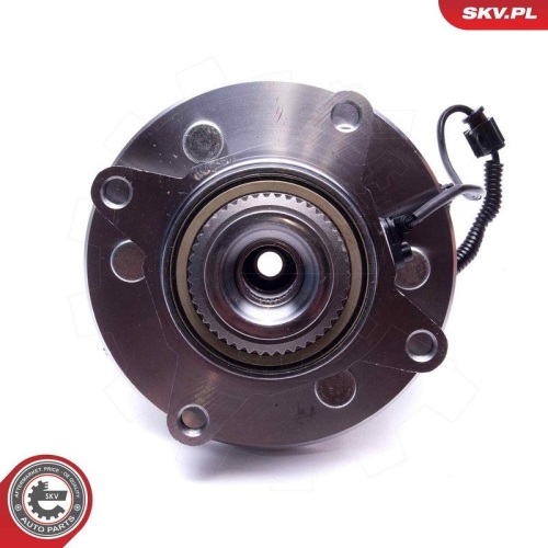 ESEN SKV Radlagersatz 29SKV553