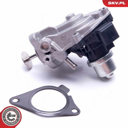 ESEN SKV AGR-Ventil 14SKV233