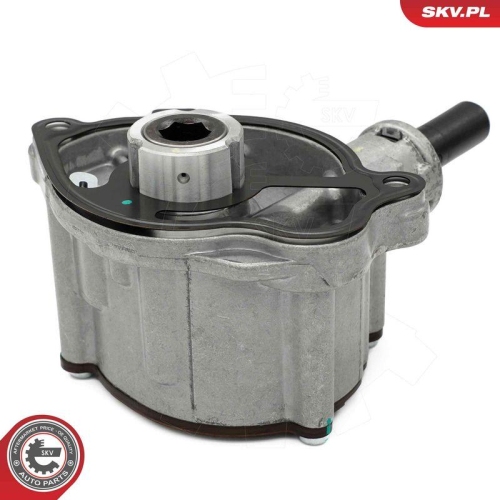 ESEN SKV Unterdruckpumpe, Bremsanlage 18SKV081