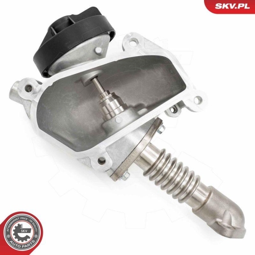 ESEN SKV AGR-Ventil 14SKV257