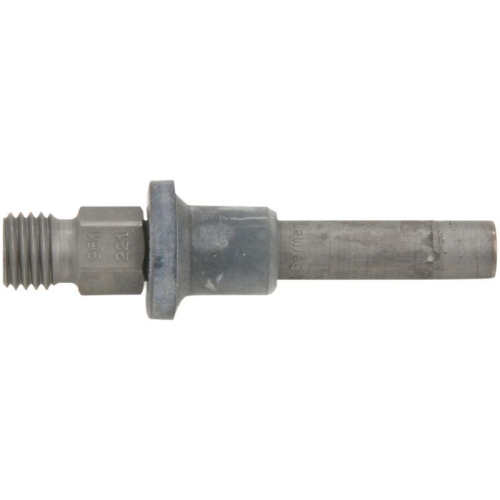 BOSCH Einspritzventil 0 437 502 002