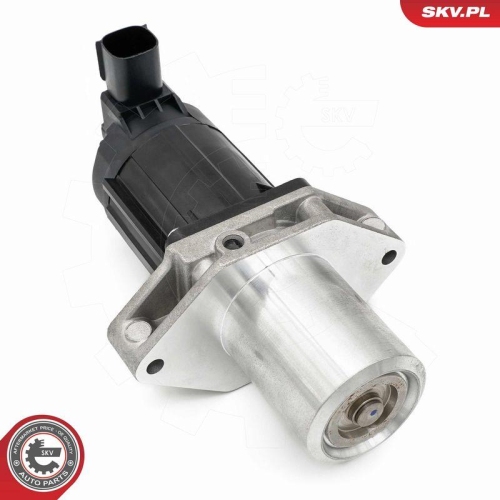 ESEN SKV AGR-Ventil 14SKV284