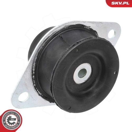 ESEN SKV Lagerung, Motor 75SKV090