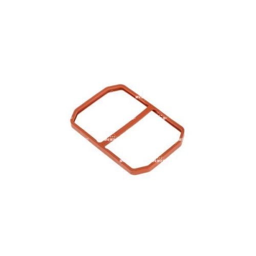 NRF AGR-Ventil 48601