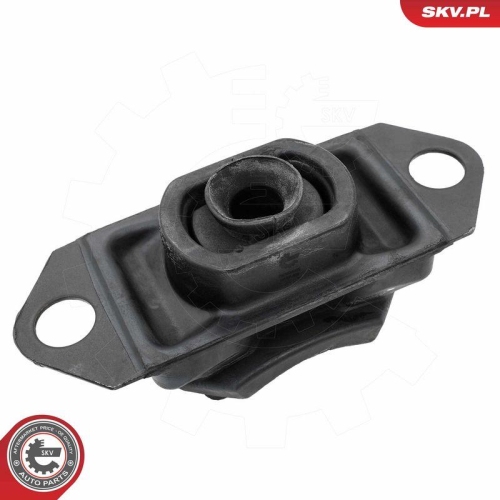 ESEN SKV Lagerung, Motor 75SKV065