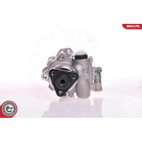 ESEN SKV Hydraulikpumpe, Lenkung