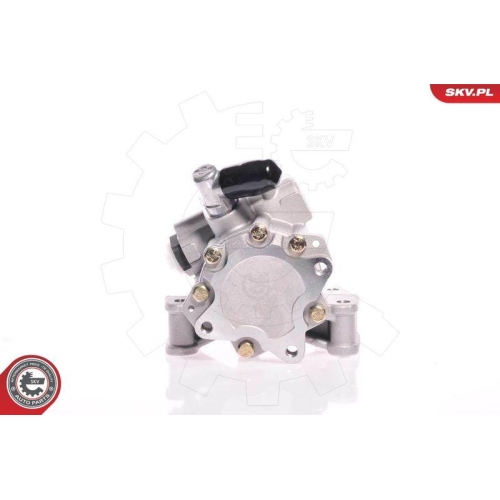 ESEN SKV Hydraulikpumpe, Lenkung