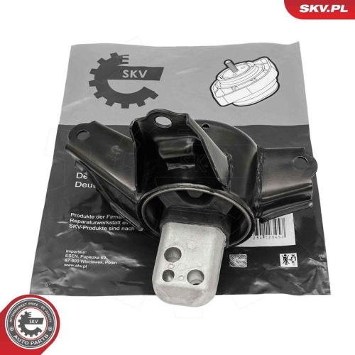 ESEN SKV Lagerung, Motor 75SKV015