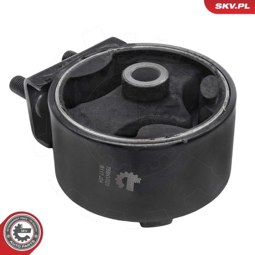 ESEN SKV Lagerung, Motor 75SKV021