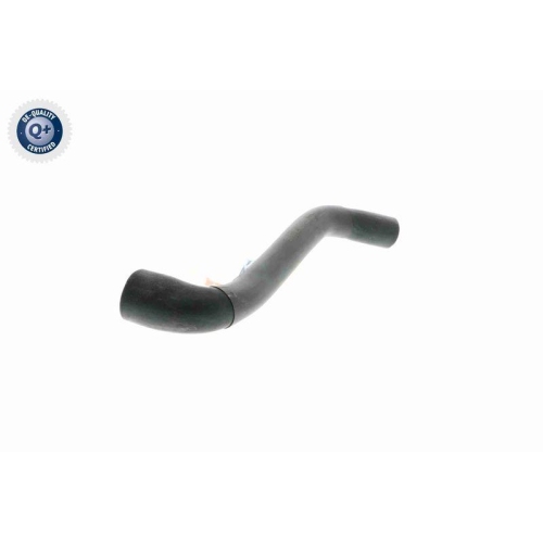 VAICO Schlauch, Zylinderkopfhaubenentl&uuml;ftung Q+, Erstausr&uuml;sterqualit&auml;t V22-1070