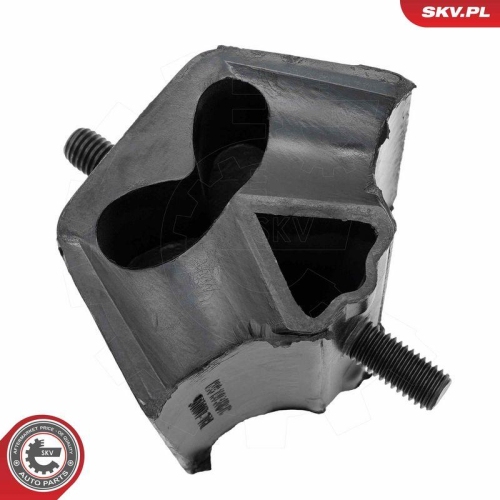 ESEN SKV Lagerung, Motor 75SKV113