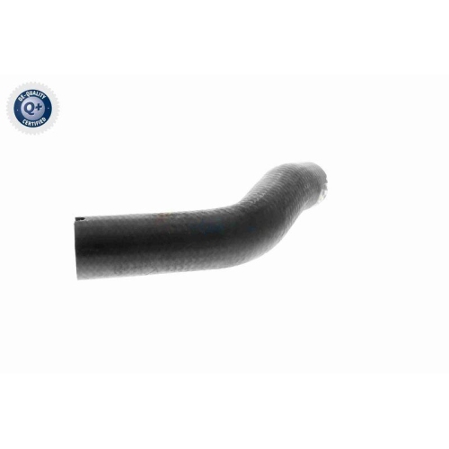 VAICO Ladeluftschlauch Q+, Erstausr&uuml;sterqualit&auml;t V24-0733