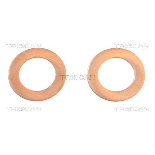 TRISCAN Bremsschlauch 8150 431011