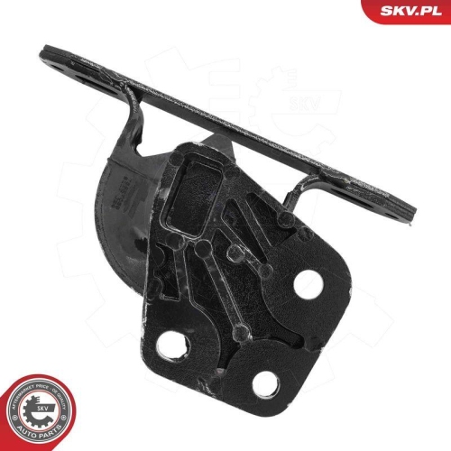 ESEN SKV Lagerung, Motor 75SKV039