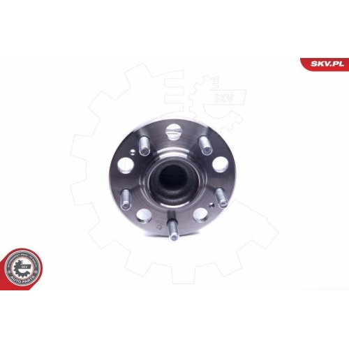 ESEN SKV Radlagersatz