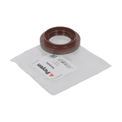 PAYEN Wellendichtring, Differential NA5494