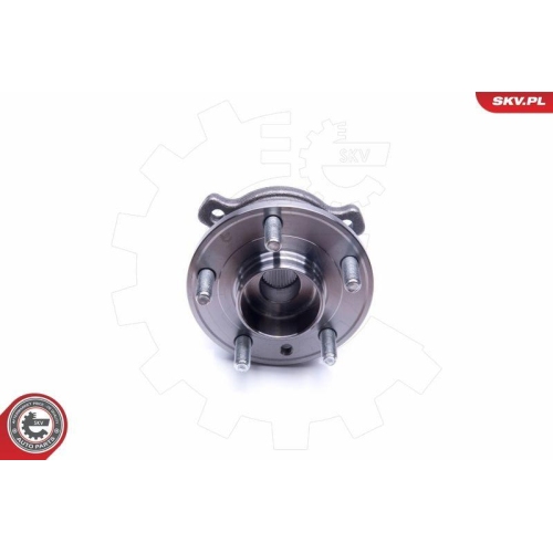 ESEN SKV Radlagersatz