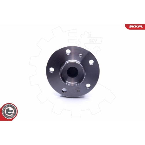 ESEN SKV Radlagersatz
