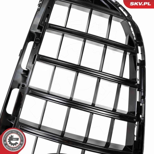 ESEN SKV Kühlergitter