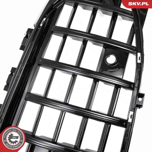 ESEN SKV Kühlergitter