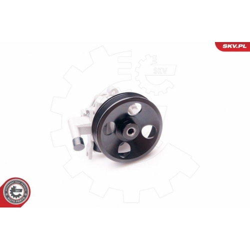 ESEN SKV Hydraulikpumpe, Lenkung