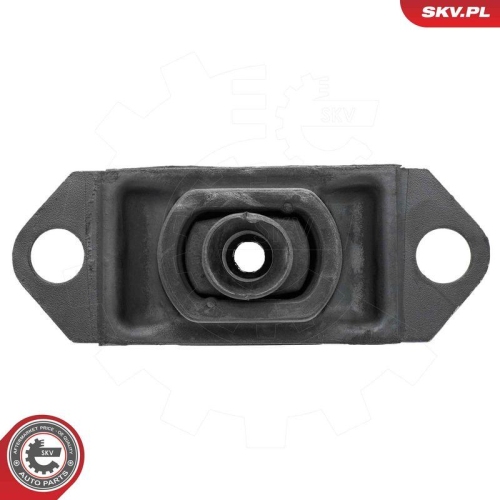 ESEN SKV Lagerung, Motor 75SKV080