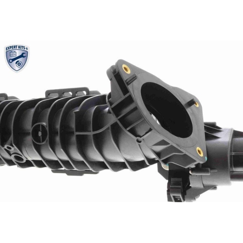 VAICO Saugrohrmodul EXPERT KITS + V20-4557