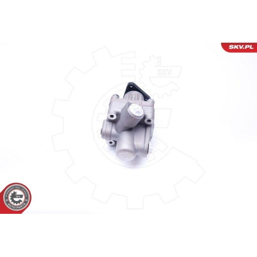 ESEN SKV Hydraulikpumpe, Lenkung