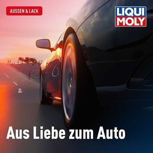 Insektenschwamm Schwamm Insektenentferner Autopflege LIQUI MOLY 1548