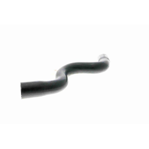 VAICO K&uuml;hlerschlauch Original VAICO Qualit&auml;t V21-0033