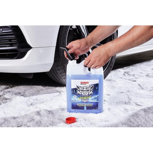 Scheibenreiniger WinterBeast AntiFrost+KlarSicht bis -18 &deg;C - 5 Liter 01355050